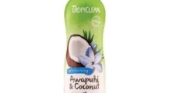 Čo by mal majiteľ vedieť o mačke albina